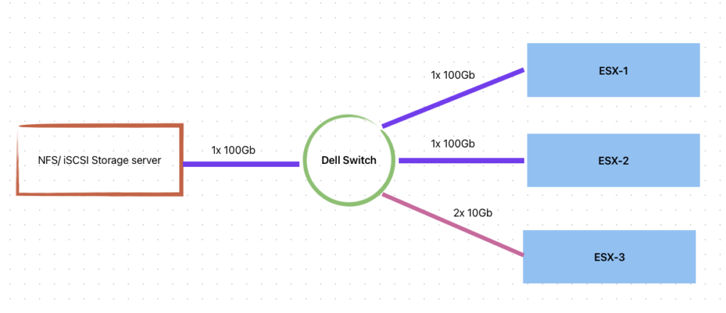 vAndu Storage Server Topology
